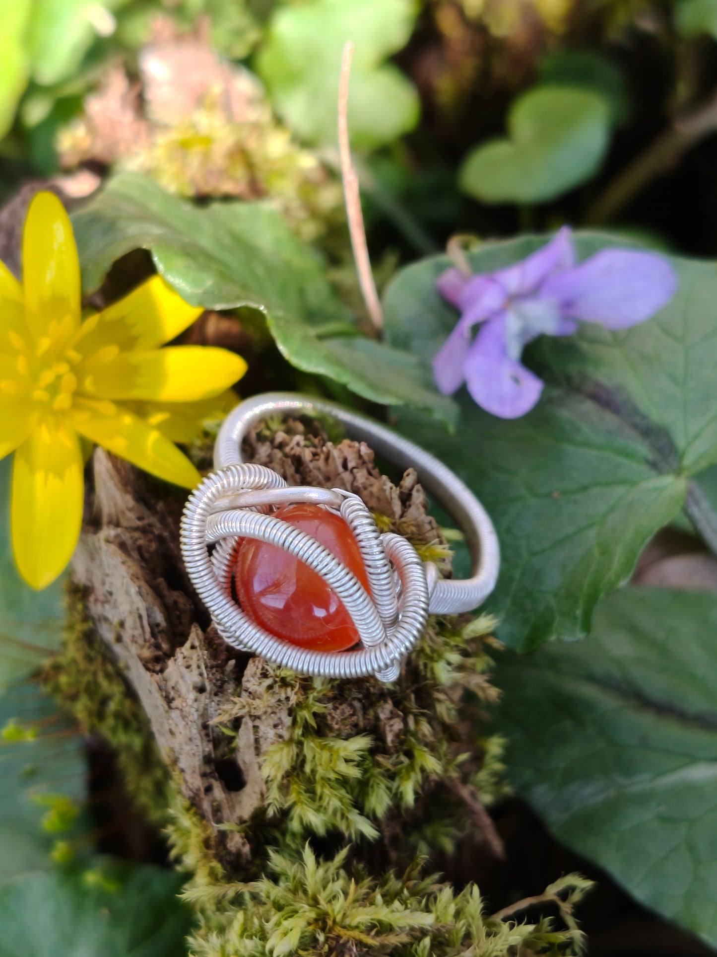Carnelian and silver filled Ring - Solar coil